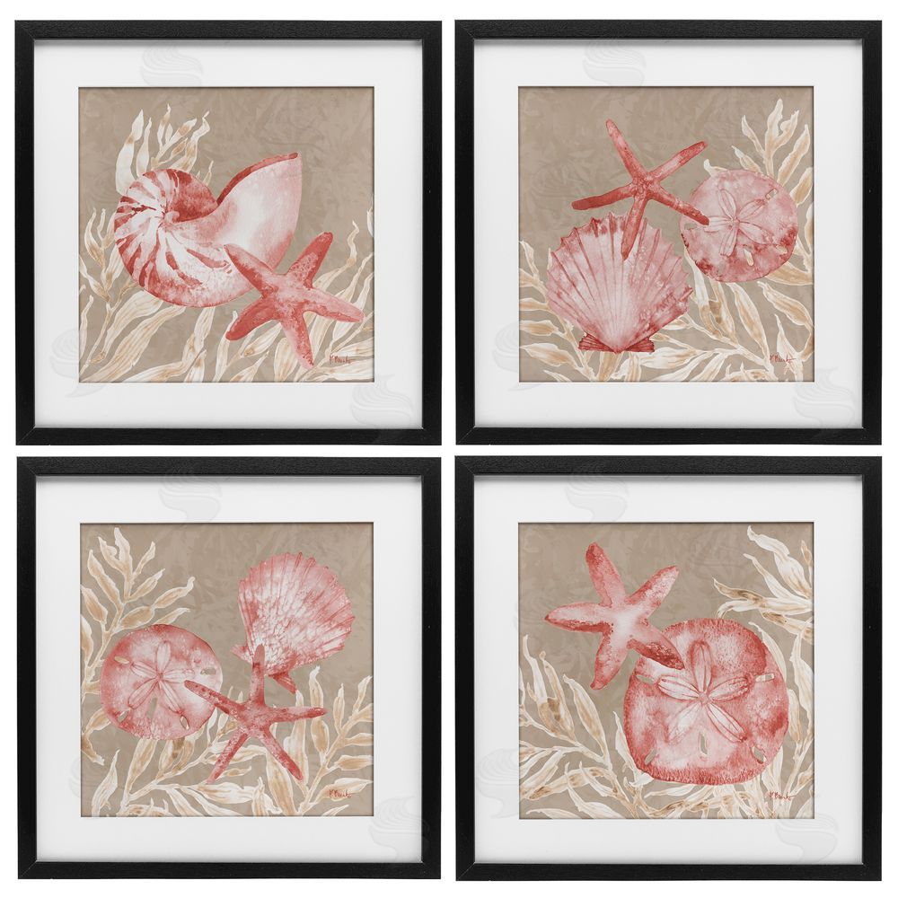 Paul Brent Tampico Shells in Peach Black Framed Print Under Glass Set