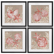 Paul Brent | Tampico Shells in Peach