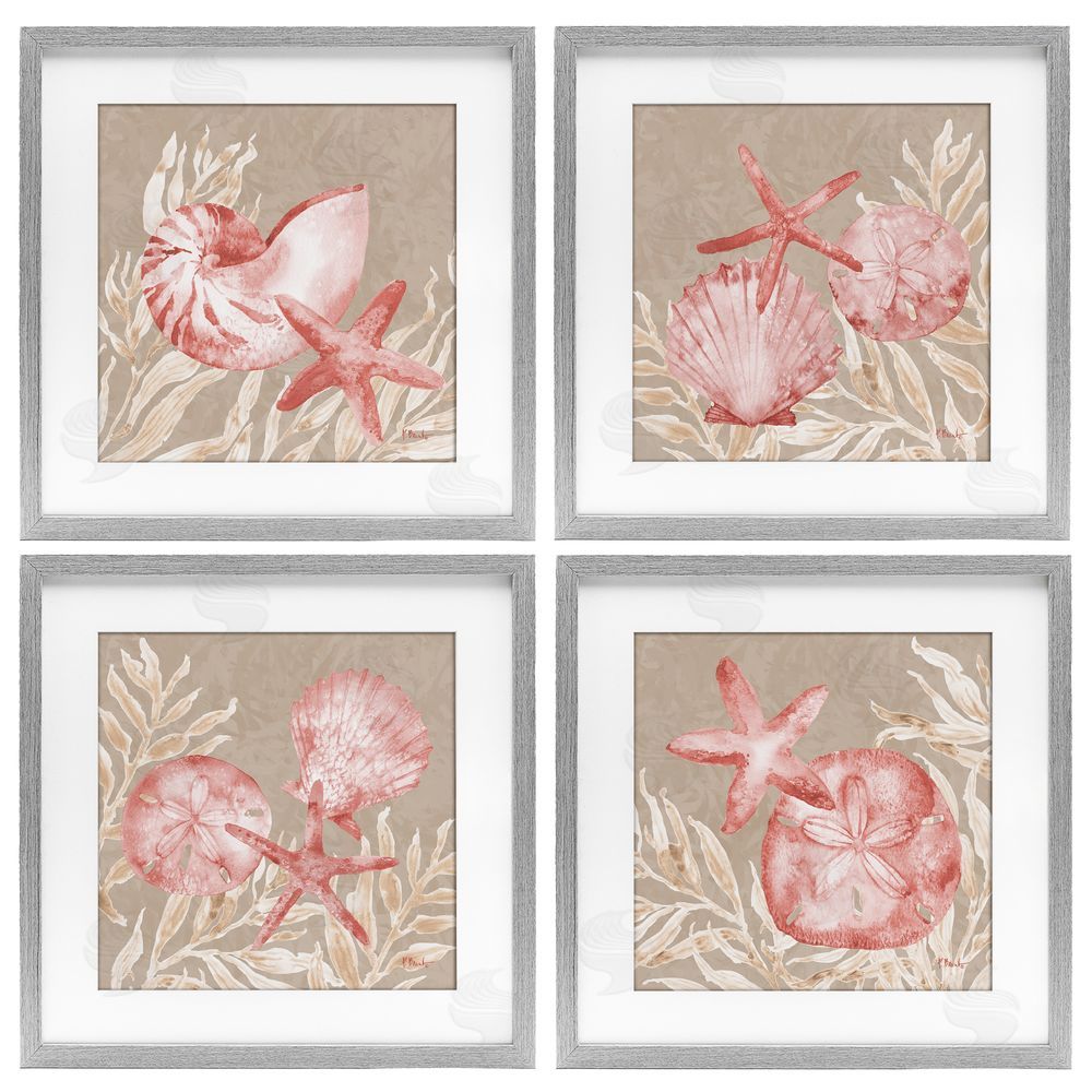 Paul Brent Tampico Shells in Peach Gray Framed Print Under Glass Set