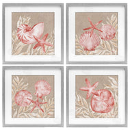 Paul Brent | Tampico Shells in Peach