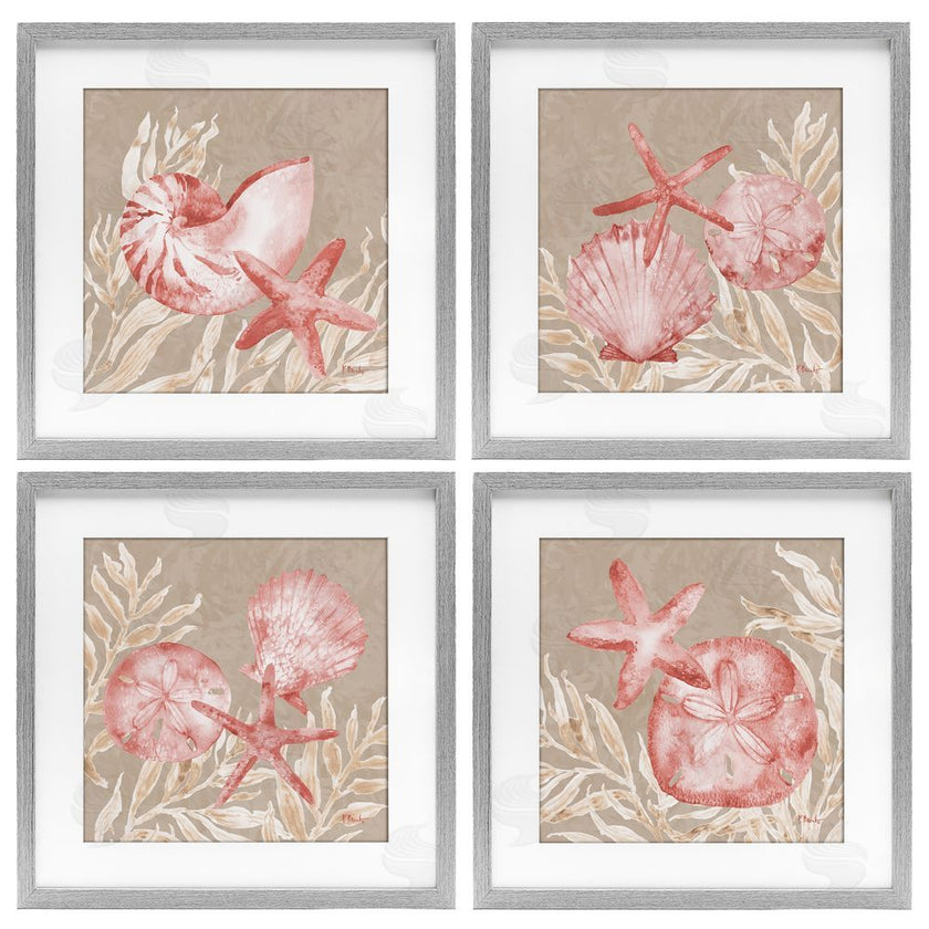 Paul Brent | Tampico Shells in Peach