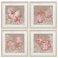 Paul Brent | Tampico Shells in Peach