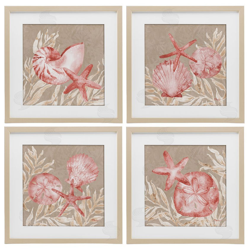 Paul Brent | Tampico Shells in Peach