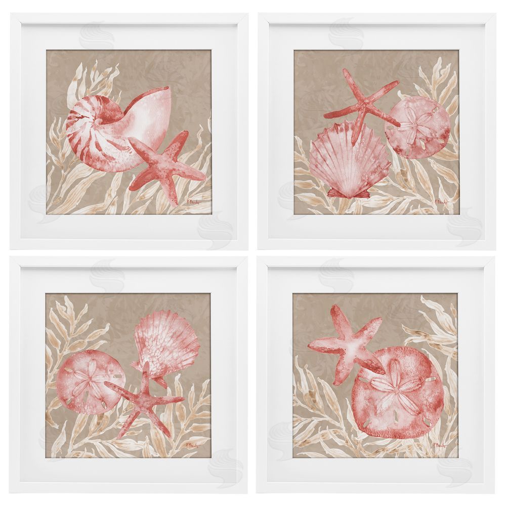 Paul Brent Tampico Shells in Peach White Framed Print Under Glass Set