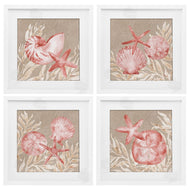 Paul Brent | Tampico Shells in Peach
