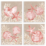 Paul Brent | Tampico Shells in Peach