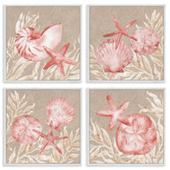 Paul Brent | Tampico Shells in Peach