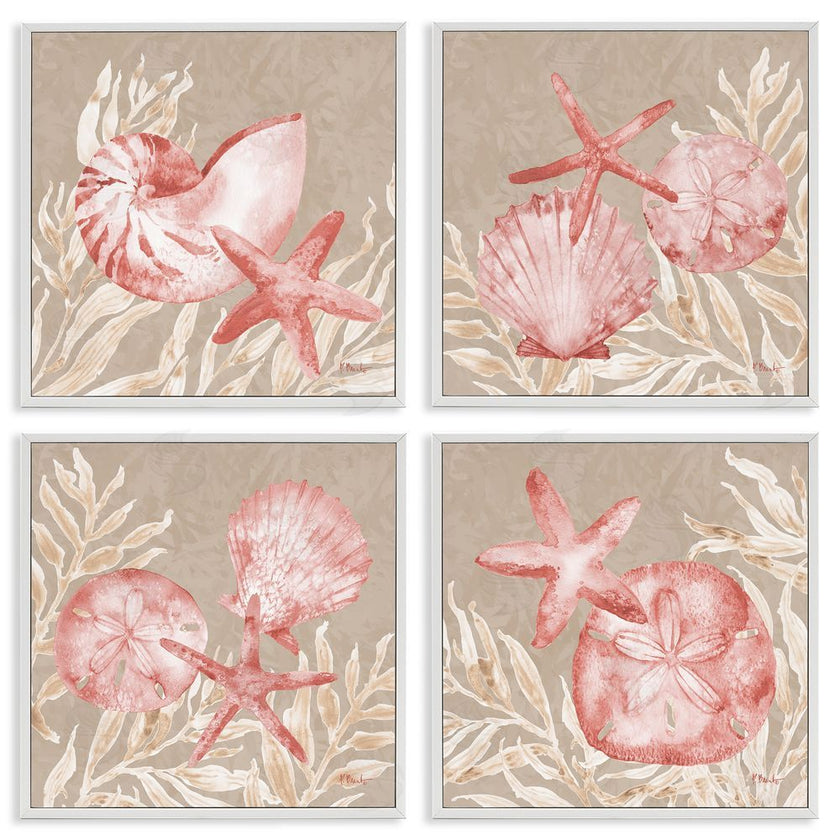 Paul Brent | Tampico Shells in Peach