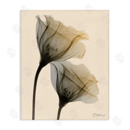 Albert Koetsier | Neutral Light Flower Photograph