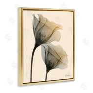 Albert Koetsier | Neutral Light Flower Photograph