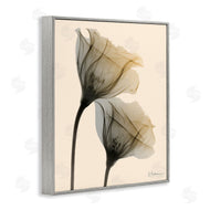Albert Koetsier | Neutral Light Flower Photograph