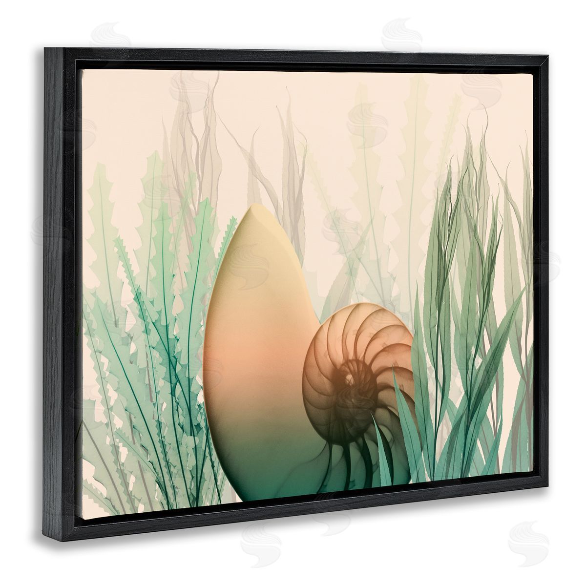 Ocean Seashell Seaweed Collage Black Floating Frame Canvas Wall Art, Home Decor by Albert Koetsier