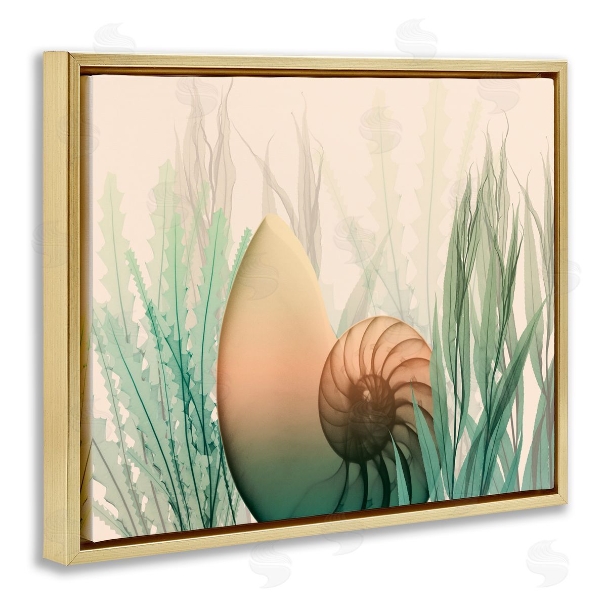 Ocean Seashell Seaweed Collage Gold Floating Frame Canvas Wall Art, Home Decor by Albert Koetsier