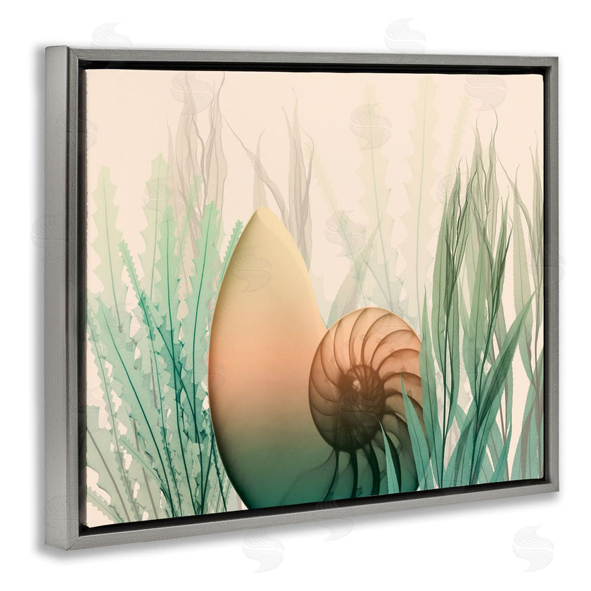 Albert Koetsier | Ocean Seashell Seaweed Collage