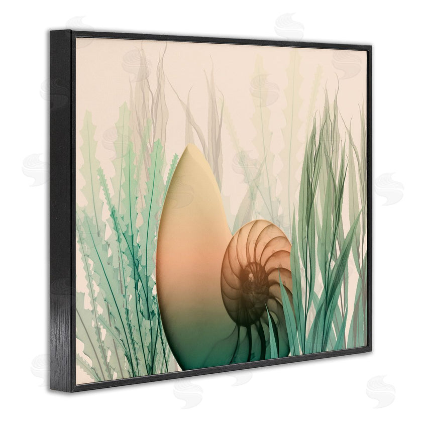 Albert Koetsier | Ocean Seashell Seaweed Collage