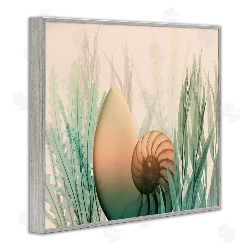 Albert Koetsier | Ocean Seashell Seaweed Collage