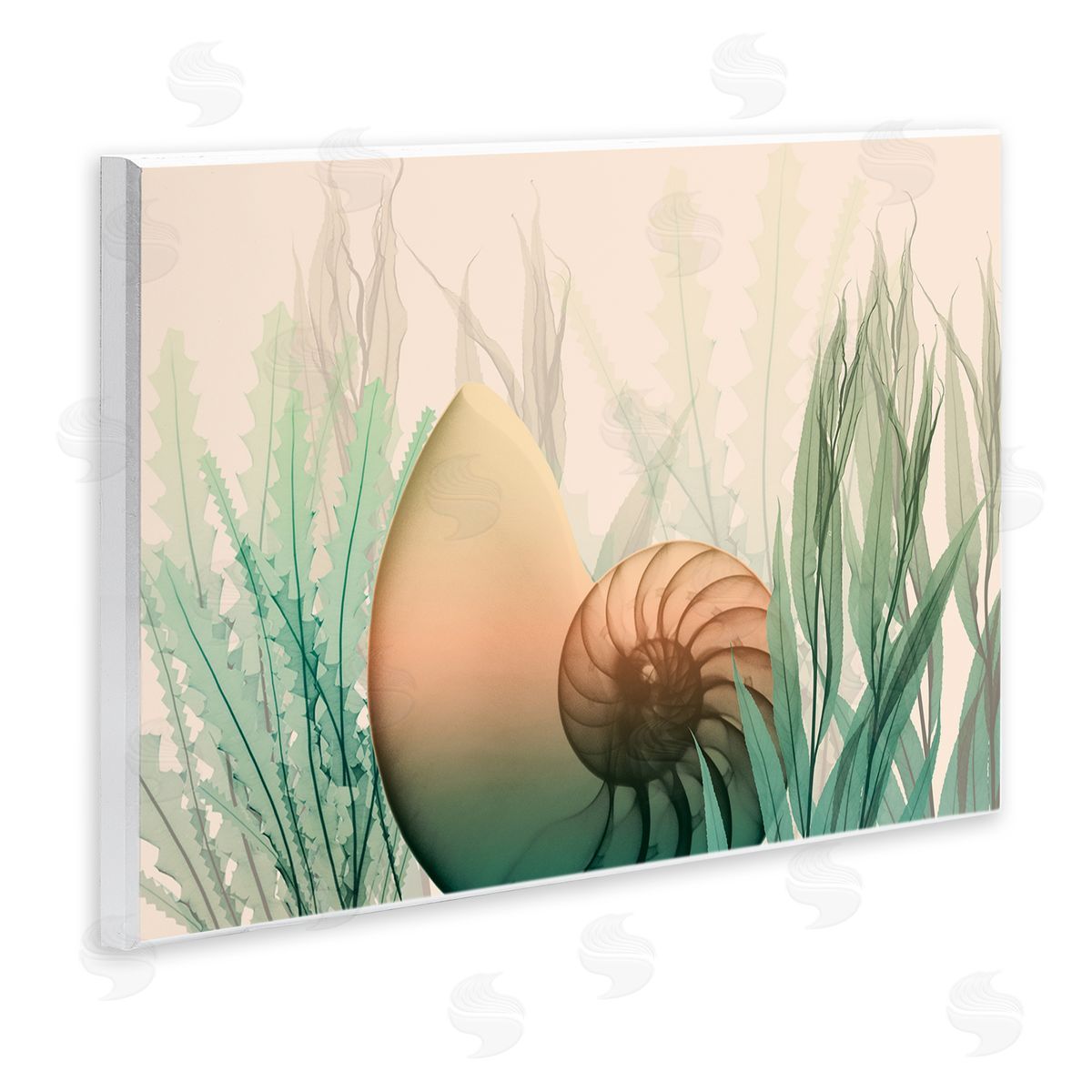 Ocean Seashell Seaweed Collage Wood Plaque Wall Art, Home Decor by Albert Koetsier