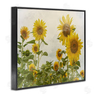 Anne Bailey | Sunflower Garden Farm Burlap