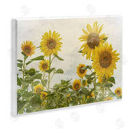 Anne Bailey | Sunflower Garden Farm Burlap