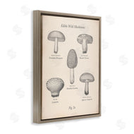 The Saturday Evening Post | Edible Wild Mushrooms Vintage