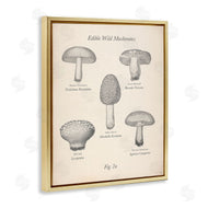 The Saturday Evening Post | Edible Wild Mushrooms Vintage