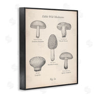 The Saturday Evening Post | Edible Wild Mushrooms Vintage