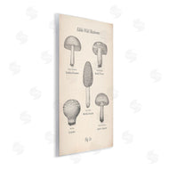 The Saturday Evening Post | Edible Wild Mushrooms Vintage