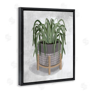House Fenway | Spider Plant Grey Green
