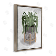 House Fenway | Spider Plant Grey Green