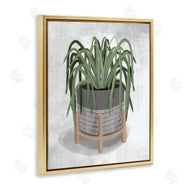 House Fenway | Spider Plant Grey Green