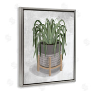 House Fenway | Spider Plant Grey Green