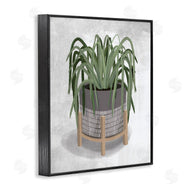 House Fenway | Spider Plant Grey Green