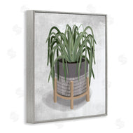 House Fenway | Spider Plant Grey Green