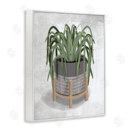 House Fenway | Spider Plant Grey Green