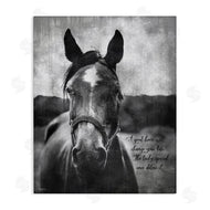 Gigi Louise | A Great Horse Inspiring
