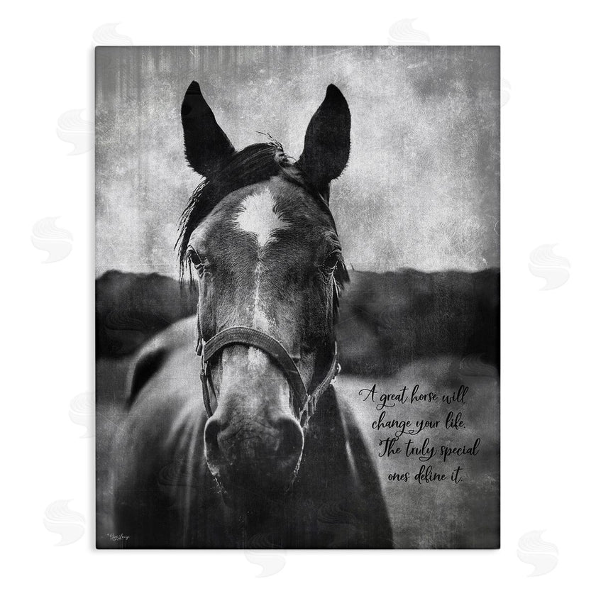 Gigi Louise | A Great Horse Inspiring
