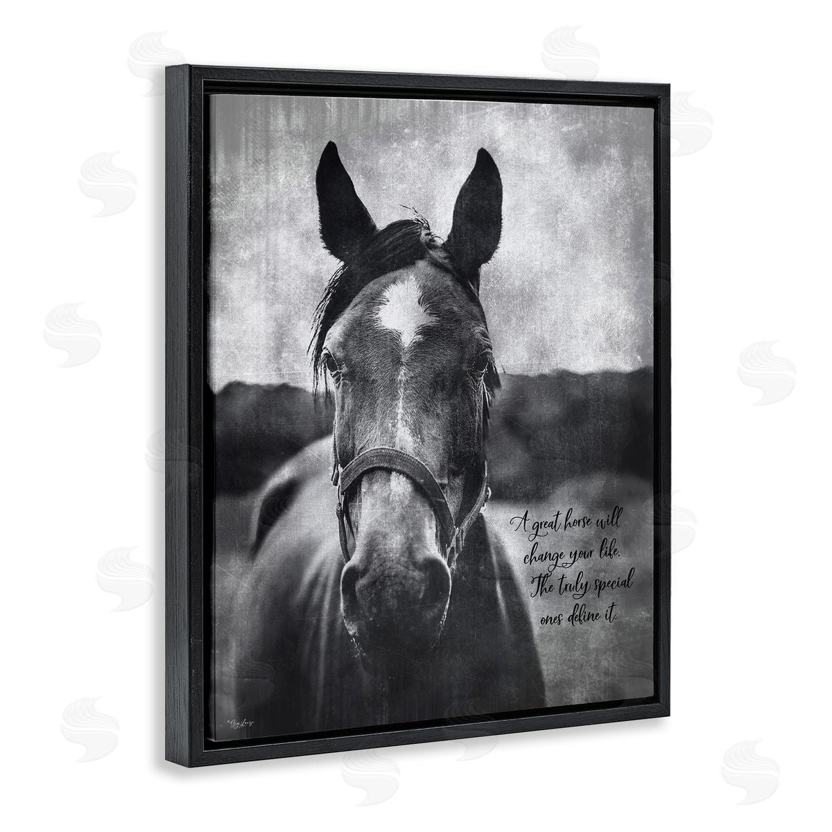 A Great Horse Inspiring Black Floating Frame Canvas Wall Art, Home Decor by Gigi Louise