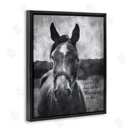 Gigi Louise | A Great Horse Inspiring