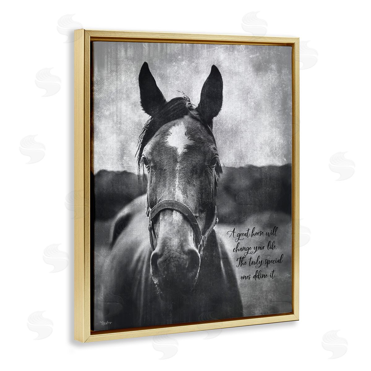 A Great Horse Inspiring Gold Floating Frame Canvas Wall Art, Home Decor by Gigi Louise