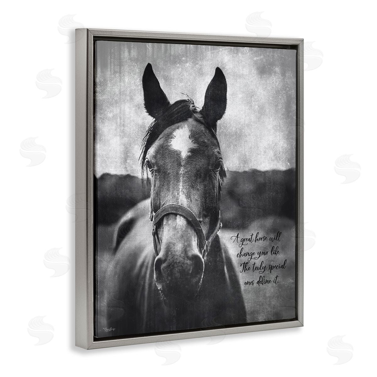 A Great Horse Inspiring Grey Floating Frame Canvas Wall Art, Home Decor by Gigi Louise