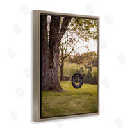 Aaron Matheson | Tire Swing Country Farm Landscape Photograph