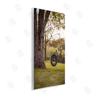 Aaron Matheson | Tire Swing Country Farm Landscape Photograph