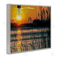 Marcus Prime | Lightbulb Lake Reeds Photograph