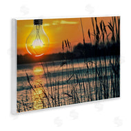 Marcus Prime | Lightbulb Lake Reeds Photograph