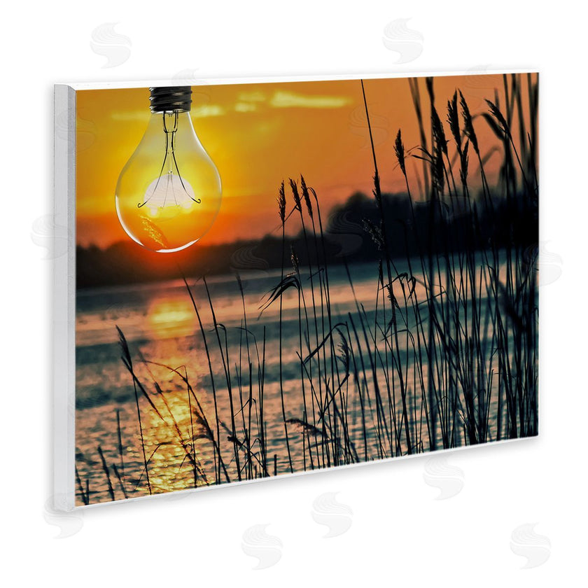 Marcus Prime | Lightbulb Lake Reeds Photograph