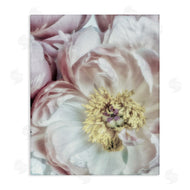 Dianne Poinski | Soft Flower Bloom Photograph