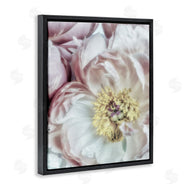 Dianne Poinski | Soft Flower Bloom Photograph