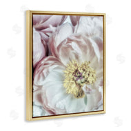 Dianne Poinski | Soft Flower Bloom Photograph