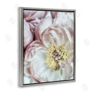Dianne Poinski | Soft Flower Bloom Photograph