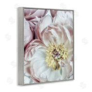 Dianne Poinski | Soft Flower Bloom Photograph
